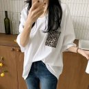 호랑 이미지