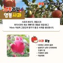 맛있는과일나라 이미지