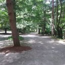 도모지골 이미지