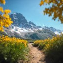 신시도민박 이미지