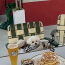 수원-1362 이미지