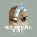 이리온(IRION) | [전북 익산] 주말에도 여유롭게, 애견카페 데이트 ‘이리온’