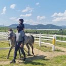 악양승마장 이미지