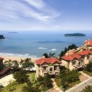 엘도라도 아마존 이미지