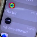 (주)네스팅 네이버블로그