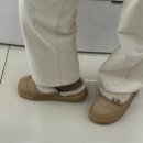 퍼플리 티스토리