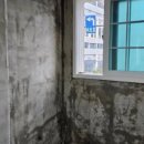 곰팡이제거업체
