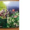 (주)강화홍삼공사 이미지