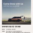 [취업준비] 현대자동차 N 브랜드 마케팅 직무면접 후기