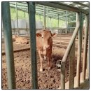 엄마네농장 이미지