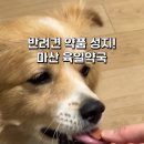 마산육일약국 이미지