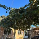 하동오리불고기 | 하동 여행 악양 최참판댁 근처 녹차 오리불고기 맛집, 여명가든