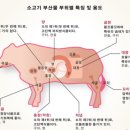 아키엔건축사사무소