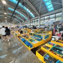 거진활어회센터 이미지