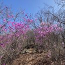 봉우재로 240 이미지