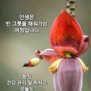 행복한하루 이미지