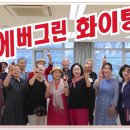 에버그린 이미지