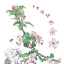 (주)코리아플로라 이미지