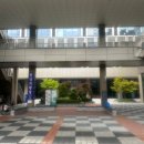 전라약국 | [솔닥 컨시어지] 네 번째 환우회 모임 후기 / 25년 상반기 한국1형당뇨병환우회 &#34;광주전라제주&#34; 모임에...