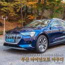 아이언 오토 서비스 이미지