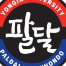 용인대 팔달 태권도장 이미지