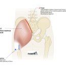 CM Fitness 이미지