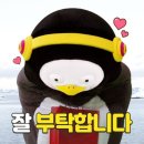 모쿠816 - 부천시 원미구 신흥로106번길 28 | 모쿠816