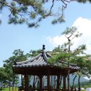 용궁국밥