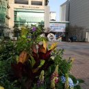 서울특별시 성동구청사 이미지