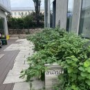 리와인드 | 북촌 카페 추천 리와인드 서울 디저트 맛집 솔직후기 뷰 좋은 카페