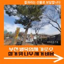 부천 벌목업체 가로수 철거 및 나무 제거 비용
