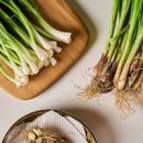 쪽파김치 담그는 법 봄 움파 김치 양념 파김치 레시피 이미지