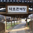 약초마을 이미지