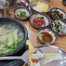 덕이네대구뽈찜 이미지