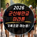 새만금 인쇄 | 2026 군산새만금마라톤 기록조회 하는법 (공식 링크 안내)