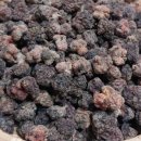 영달농장 이미지