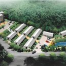 춘천애견체험박물관 이미지