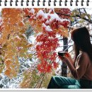 모닝 커피 드세요 이미지