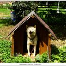 광산초등학교흘리분교장 이미지