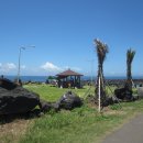 신도초등 이미지