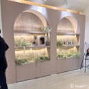 라두라다 | Wedding 1 | 대구 라테라스 웨딩홀 워킹 계약 후기