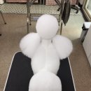 펫홀릭더라이프 이미지