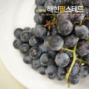 해현팜스테드