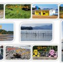 남해-194 이미지