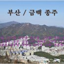 부산 / 금백 종주 이미지