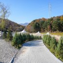 무인카페HILL