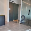 장현동물병원 이미지