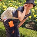 곡성기차마을영농조합 이미지