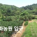 무궁화농원 이미지