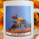 미엘로 - 고양시 일산동구 중앙로 1206 | 미엘로